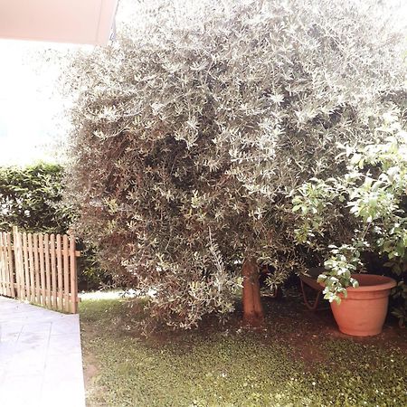 Beb Ulivo Bed and Breakfast Santa Giuletta Exteriör bild